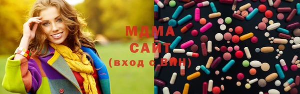 дмт Богданович