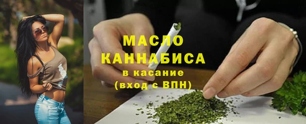 дмт Богданович