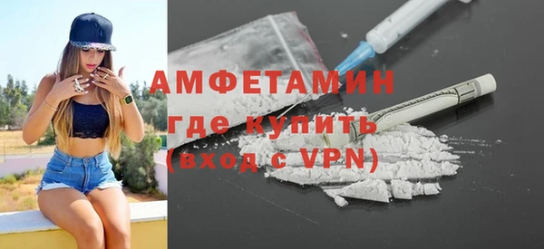 дмт Богданович
