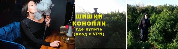 меф Осташков