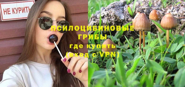 дмт Богданович