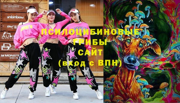 альфа пвп Няндома