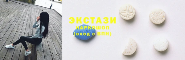 дмт Богданович