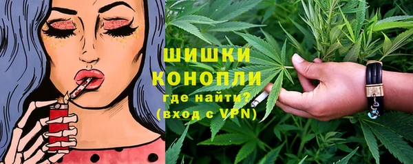 дмт Богданович