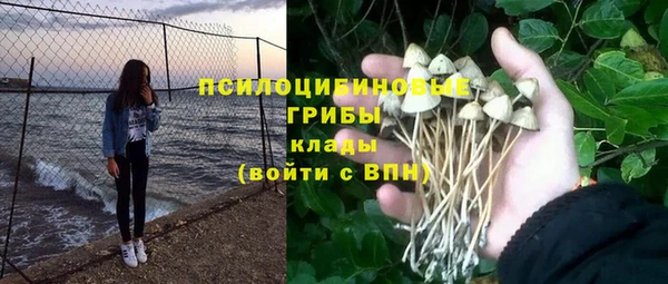 дмт Богданович