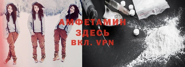 дмт Богданович