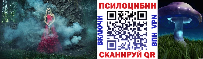 Псилоцибиновые грибы Psilocybine cubensis  Новотроицк 